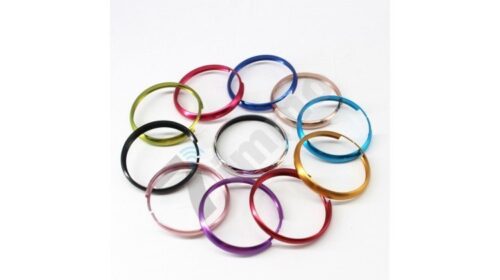 Mini Cooper Smart Key Frame